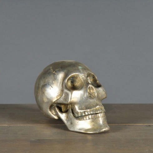 Статуэтка Ateliers C&S Davoy Iron Skull Small Extraordinary Voyages OD414S