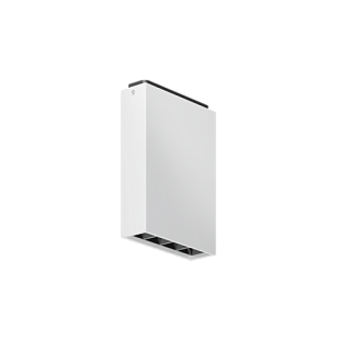 Lateris white
