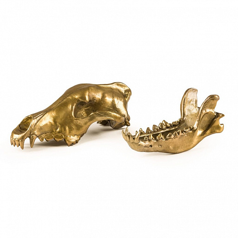 Статуэтка Seletti Wunderkrammer Wolf Skull Wunderkammer 10892