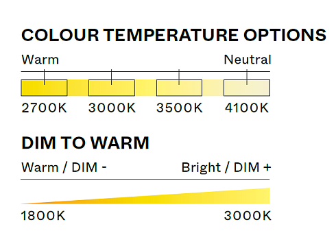 Подвесной светильник A-N-D Pipeline CM2 Black Pipeline PIP-CM2-P-BK-DW