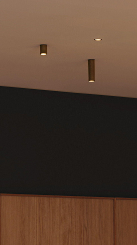 Потолочный светильник Vibia Bind Solo 6702 Black Bind Solo 670211/8Z