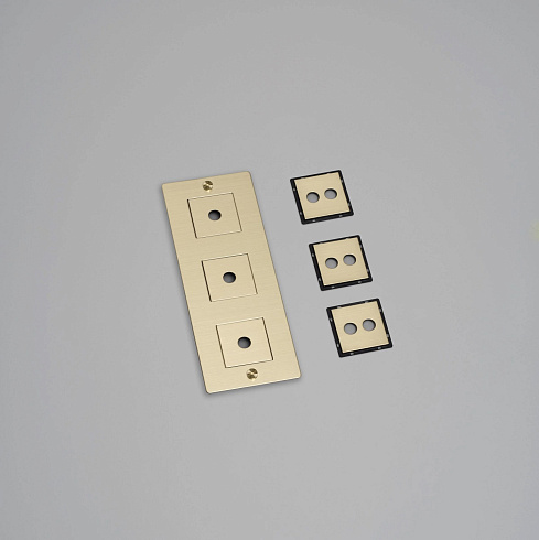 Рамка Buster and Punch 3G Vertical with infils brass Plates and Modules CPL-052397