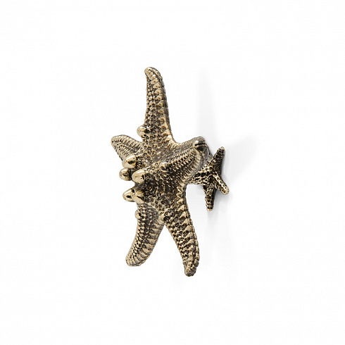 Ручка-кнопка Pull Cast Linckia Polished Brass Linckia OC2011