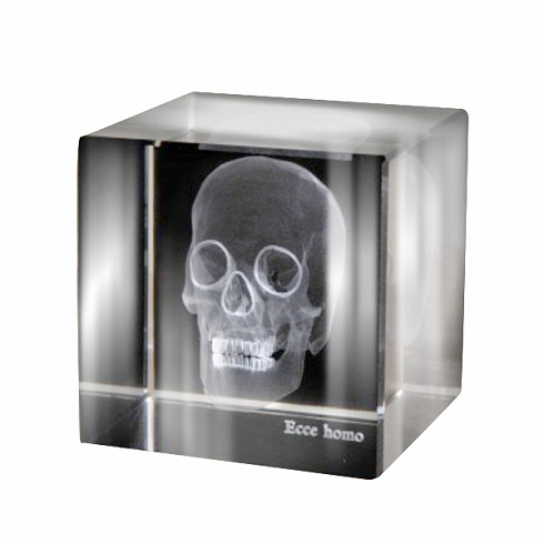 Аксессуар Ateliers C&S Davoy Skull 3D Large Sciences & Botany OD822/1L