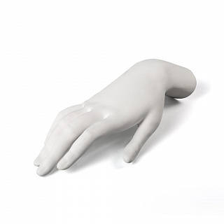 Memorabilia Mvsevm Female Hand