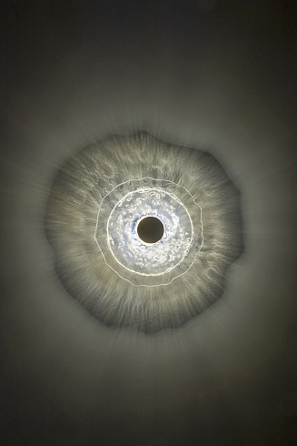 Настенный/Потолочный светильник Patrizia Volpato Nebula 35 Black nickel Nebula 0240/35+Matt black nickel