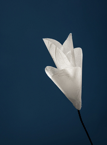 Настольная лампа Catellani & Smith For You Oggetti Senza Tempo FY