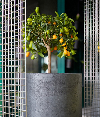 Кашпо Delight Collection TOPPER NERO TOPPER