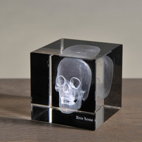 Аксессуар Ateliers C&S Davoy Skull 3D Small Sciences & Botany OD822/1S