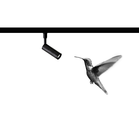 Спот Davide Groppi Colibri 18 - 15° Matt Black 3000K Colibri 1A4260400.30.01