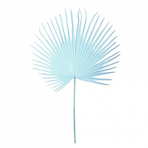 Искусственные цветы Pols Potten Fan palm leaf light blue Flowers 540-300-061