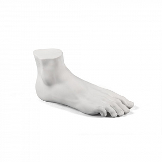 Memorabilia Mvsevm Male Foot