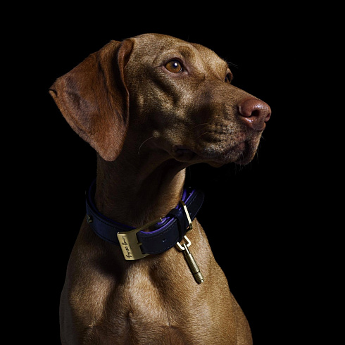 Ошейник Buster and Punch Dog Collar Brass Dog RPA-02771