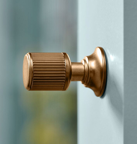 Ручка-кнопка Rejuvenation Asher Polished Nickel Asher 6414594