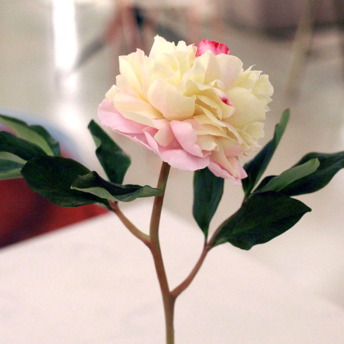 Цветы из холодного фарфора Jardiz Пион розово-желтый Peony Пион раскрытый розово-желтый
