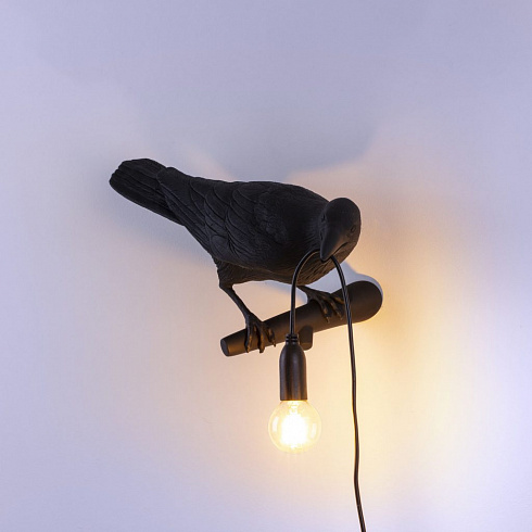 Настенный светильник Seletti Bird Looking Right Black Bird Lamp 14738