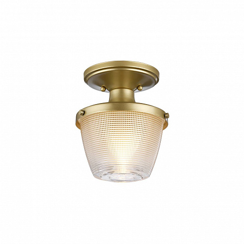 Потолочные светильники Quoizel QZ-DUBLIN-SF-PNBR 