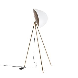 Infinity Brass/Walnut