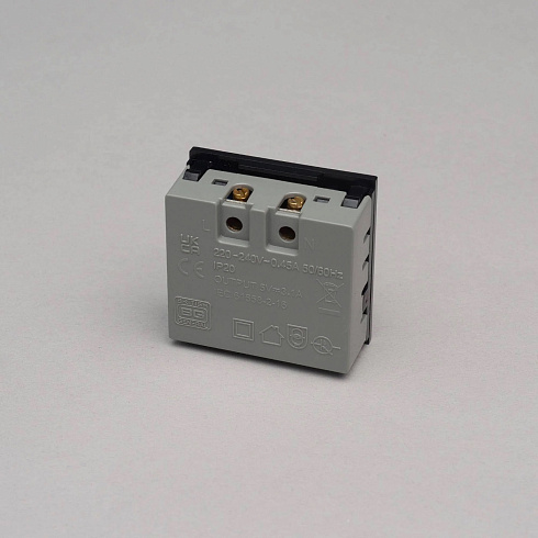 Модуль Buster and Punch USB A+A black Plates and Modules USBB-01