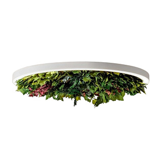 Gavin Silence Leaf 500