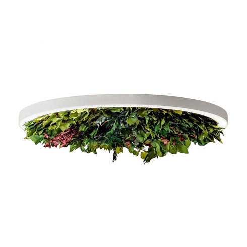 Аксессуар Olev Gavin Silence Leaf 500 Gavin 220