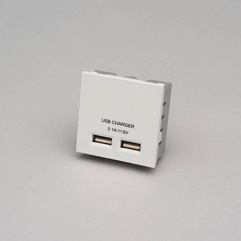 Модуль Buster and Punch USB A+A white Plates and Modules USBW-01