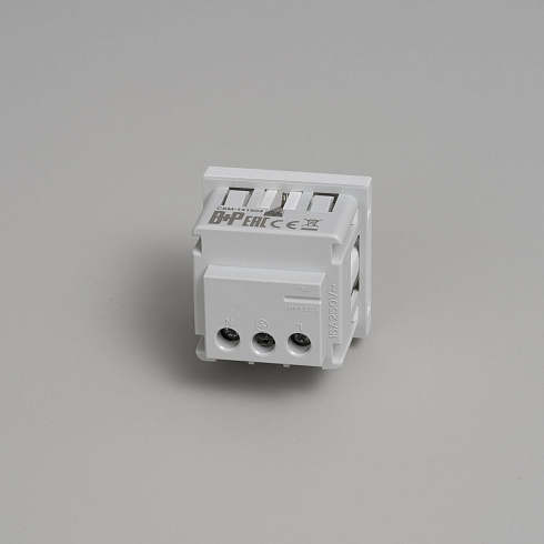 Модуль Buster and Punch Schuko Socket Type F white Plates and Modules CSM-141904