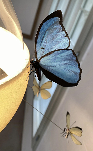 Подвесной светильник Ingo Maurer Flatterby Insekten-Modelle 1499940