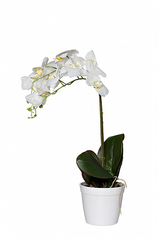 Орхидея белая в горшке, 65 см Garda Decor 29BJ-170-13 