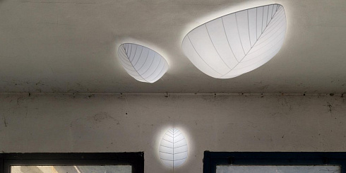 Настенный/Потолочный светильник Karman Eva Eden AP103 3B INT