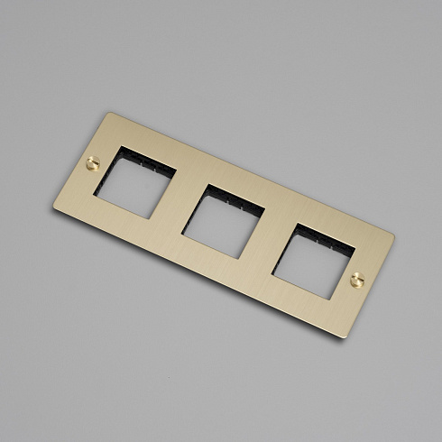 Рамка Buster and Punch 3G brass Plates and Modules CPL-052021