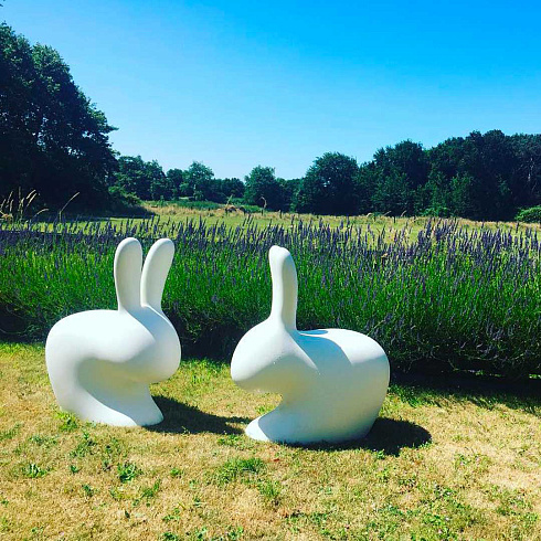 Стул Qeeboo Rabbit Balsam Green Rabbit 90002GE