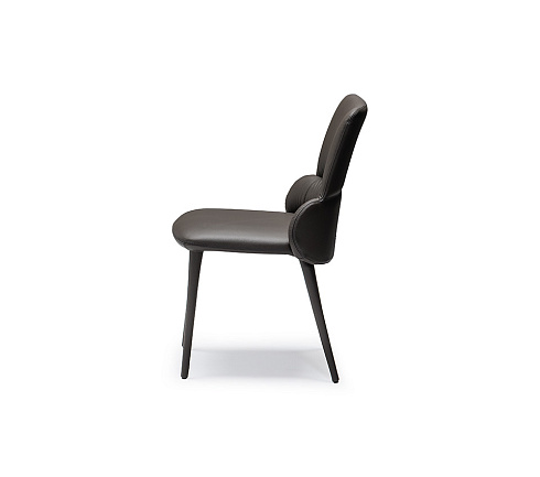 Стул Cattelan Italia Ginger Carbon Ginger Ginger GLV15