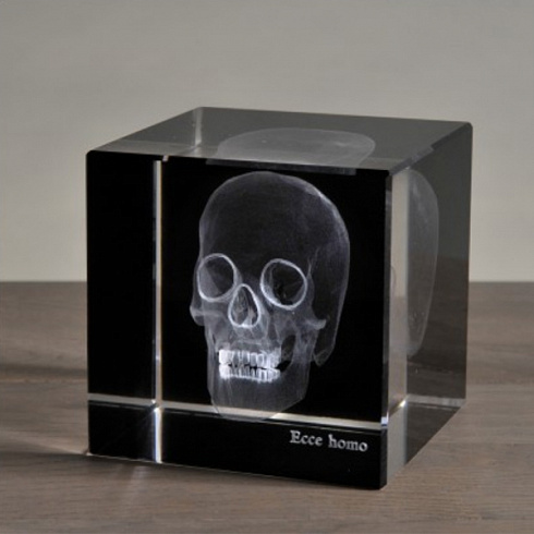 Аксессуар Ateliers C&S Davoy Skull 3D Large Sciences & Botany OD822/1L