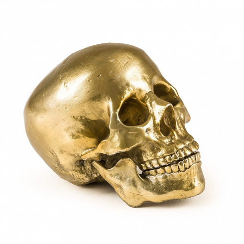 Статуэтка Seletti Wunderkrammer Human Skull Wunderkammer 10891