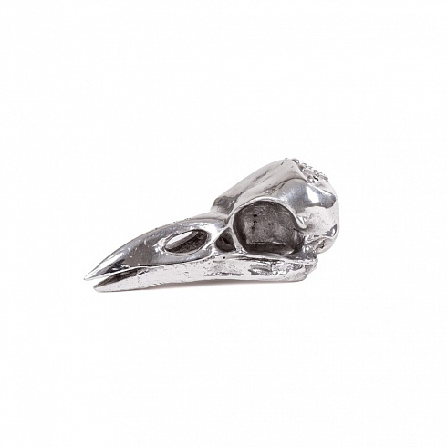 Статуэтка Seletti Wunderkammer Bird Skull Wunderkammer 10895