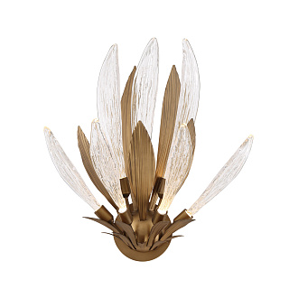 W168416-7 bronze/clear