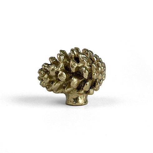 Ручка-кнопка Delight Collection MOS005 brass MOS001