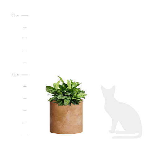 Кашпо Delight Collection CYLINDER CLASSIC CLAY CYLINDER