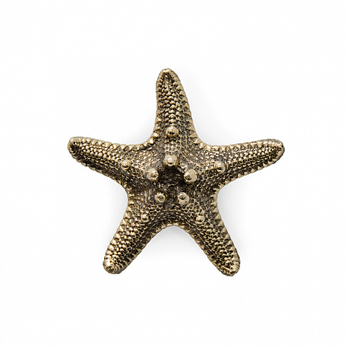 Ручка-кнопка Pull Cast Linckia Polished Brass Linckia OC2011