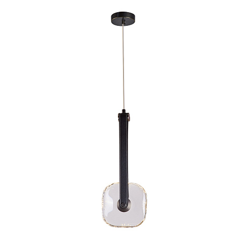 Подвесной светильник Delight Collection OD2553-1B black/clear OD2553