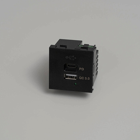 Модуль Buster and Punch USB A+C black Plates and Modules CXM-021898