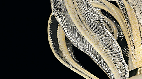 Настенный светильник Barovier & Toso 5390 Piume 5390/OB/OG