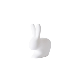 Rabbit White