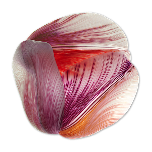 Ковер Moooi Tulip Mania Red Shell Tulip Mania