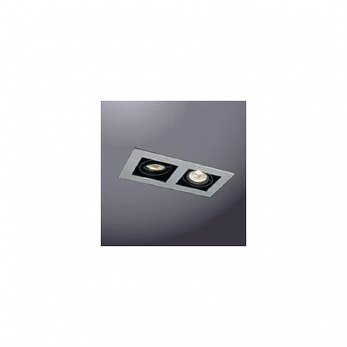 Встраиваемый светильник Wever & Ducre 12661 MIC HAL 2x50W ANO silver MIC