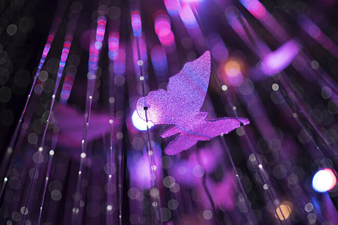 Потолочный светильник Patrizia Volpato Butterfly Butterfly 1326