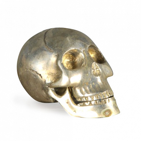 Статуэтка Ateliers C&S Davoy Iron Skull Extraordinary Voyages OD414