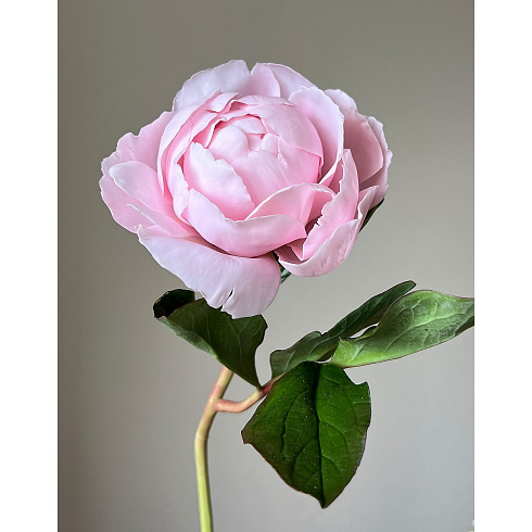 Цветы из холодного фарфора Jardiz Пион розовый Peony Пион