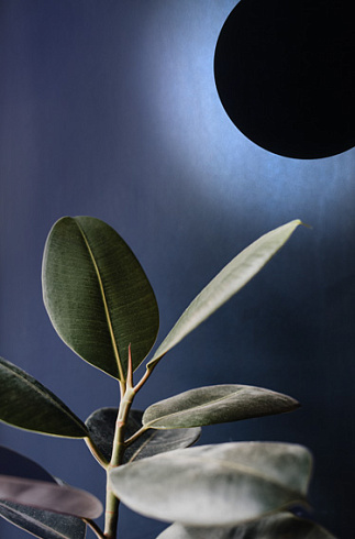 Настенный светильник AUGENTI Stem 12W 3000K Phase-cut  Stem 350W/WTAC